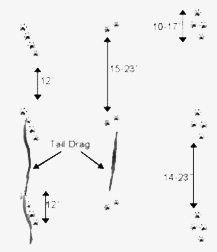 Uploaded Image: /uploads/Critter Blog/River Otter Tracks_DEC.jpg Uploaded Image: /uploads/Critter Blog/River Otter Tracks_DEC.jpg