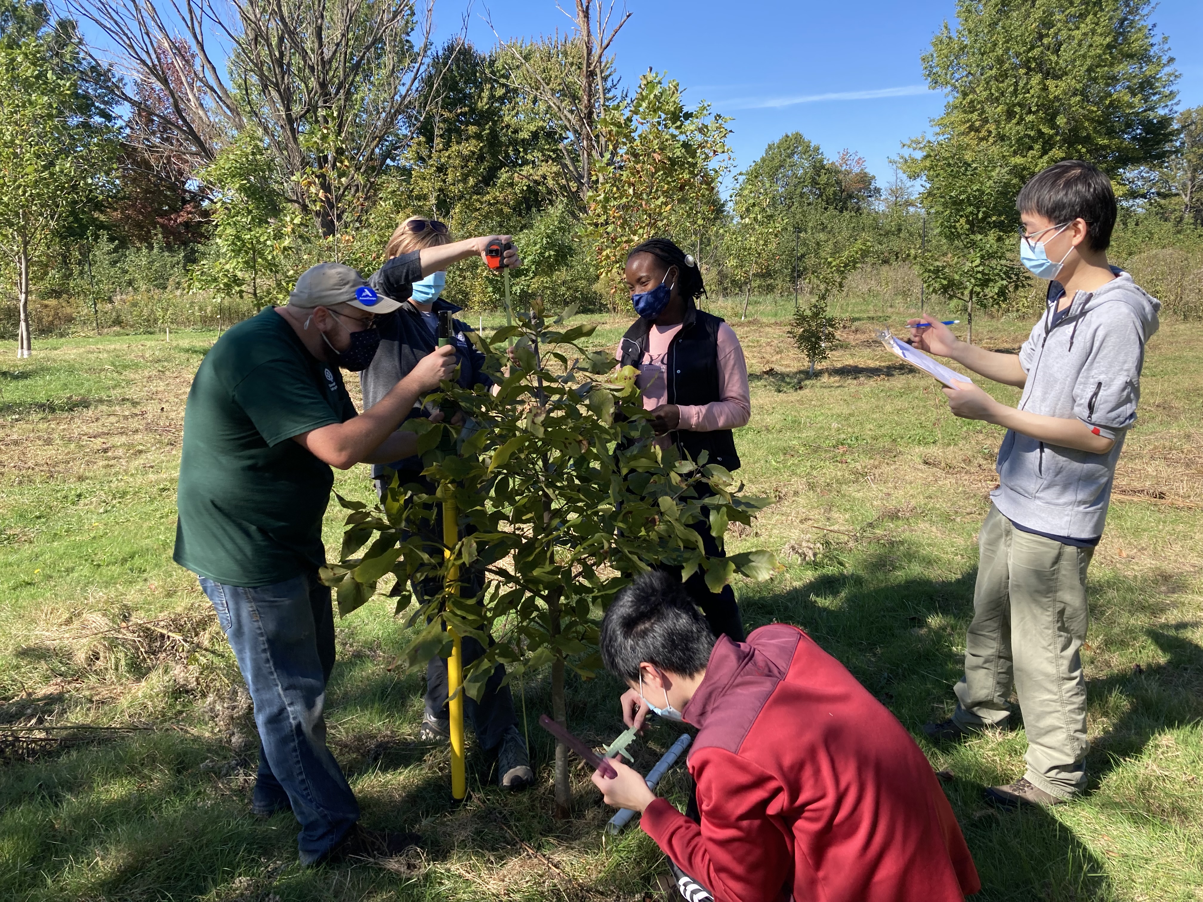 Students from a local university helping to measure trees planted at a restored former golf course.
