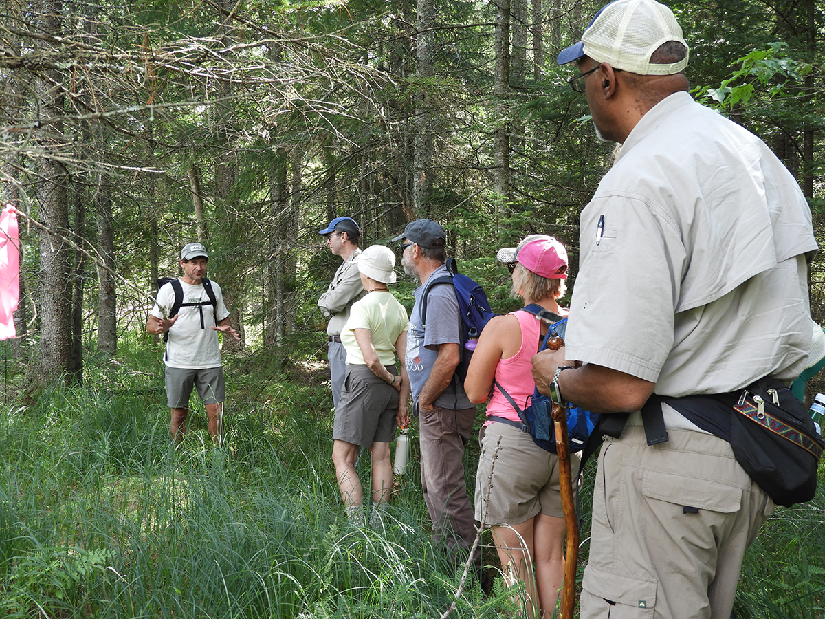 Uploaded Image: /vs-uploads/oldgrowthtrip2021/Old_Growth_trip3.jpg